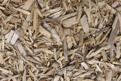 biomass boilers Yarborough
